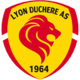 Lyon la Duchère