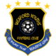 Wexford Youths