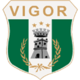 Vigor Lamezia