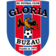 Gloria Buzau