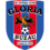 Gloria Buzau